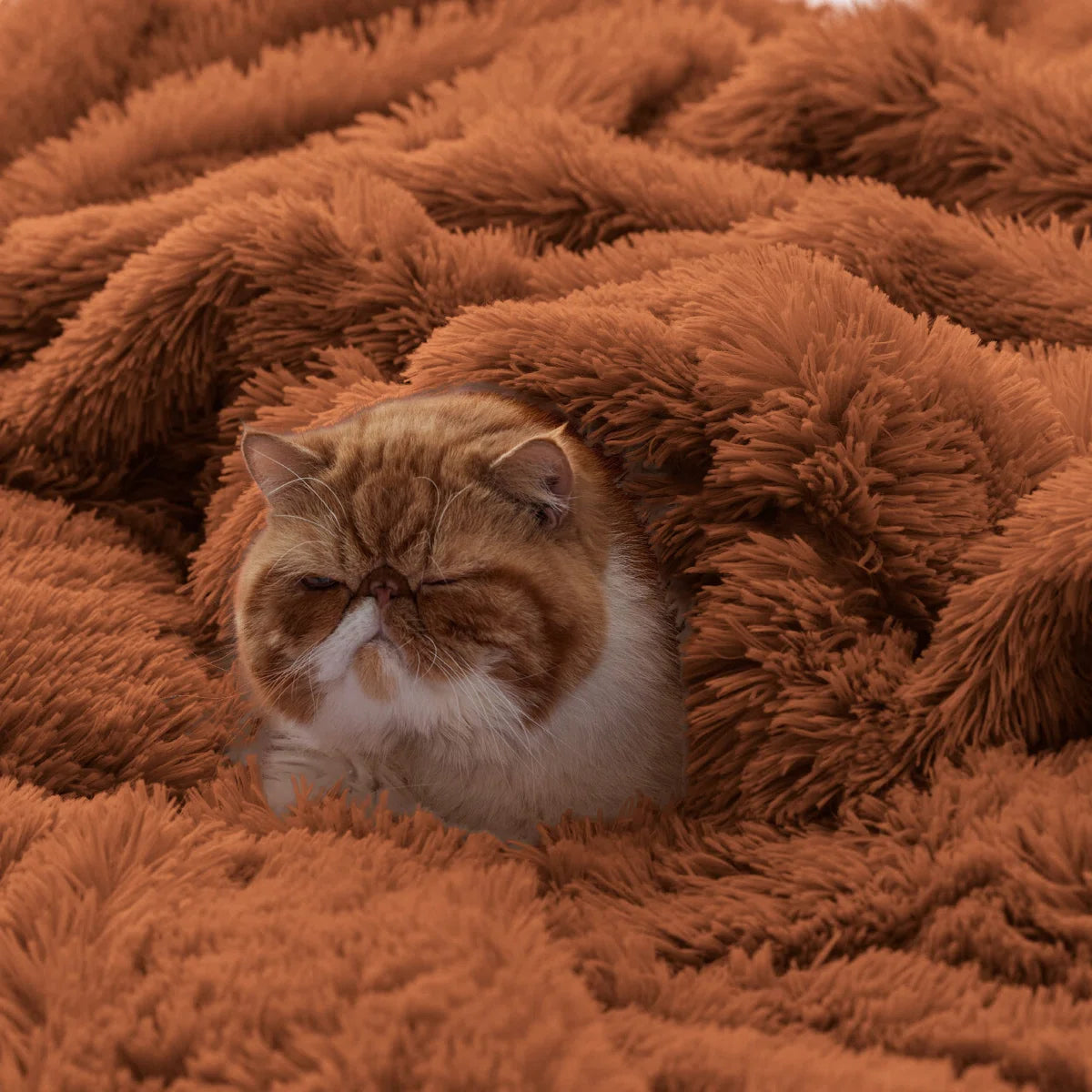 Bedsure Faux Fur Sherpa Twin/TwinXL Blanket – Ultra Soft Plush Bed Blanket for Dorm Room – Burnt Orange – Perfect Gift for Teen Girls